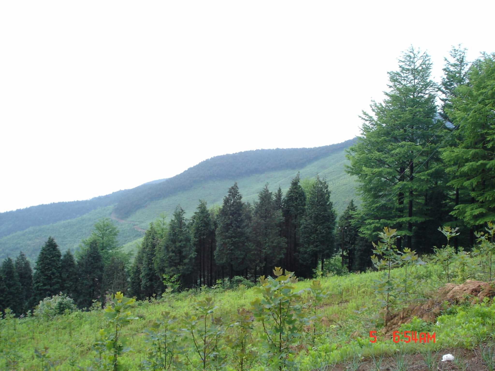 2005年四明山五五节活动PP－风景篇