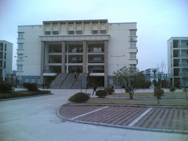 2003车辆集结