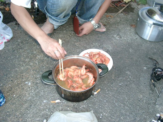 临安活动照片