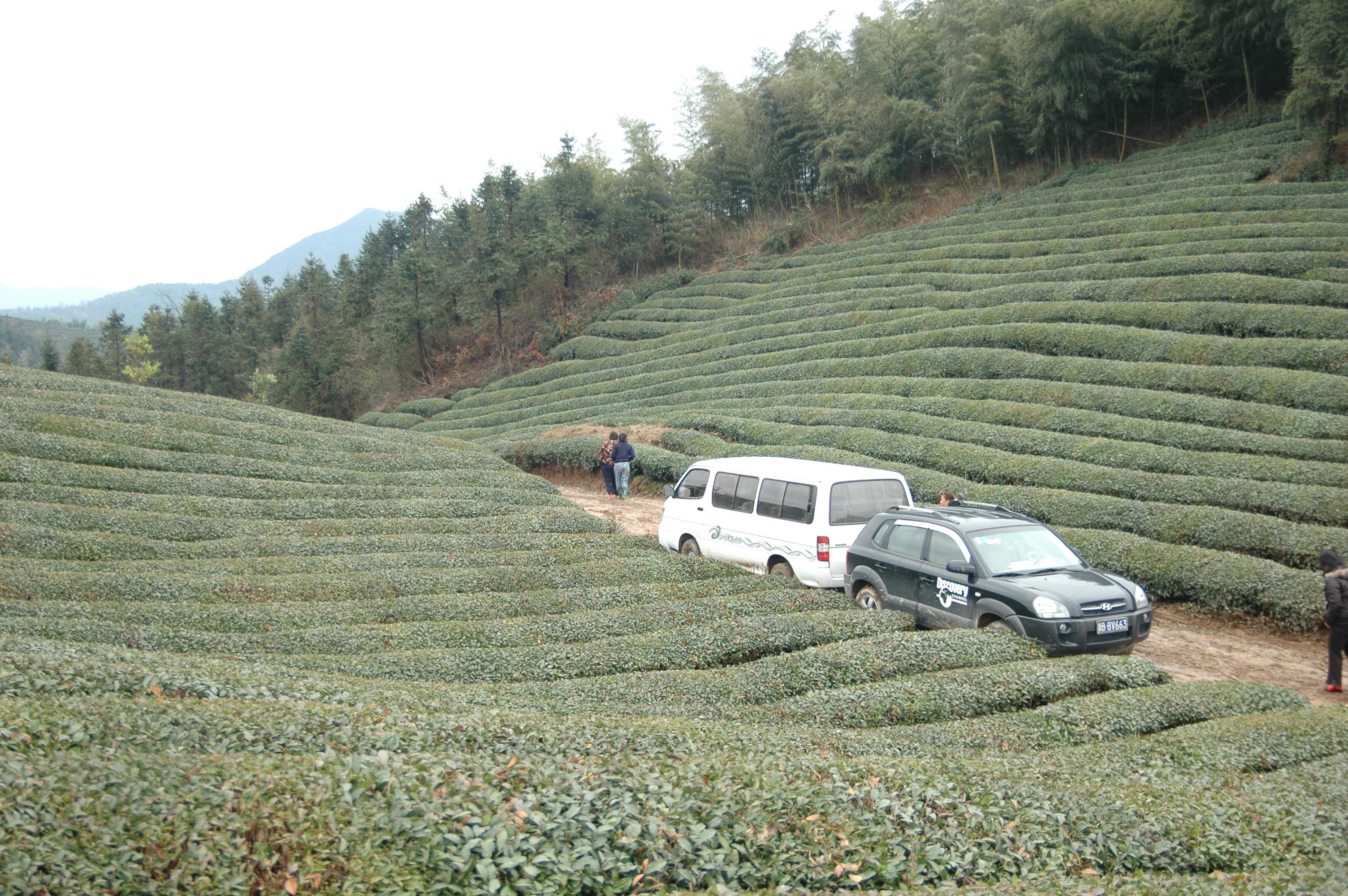 DSC_4334.JPG