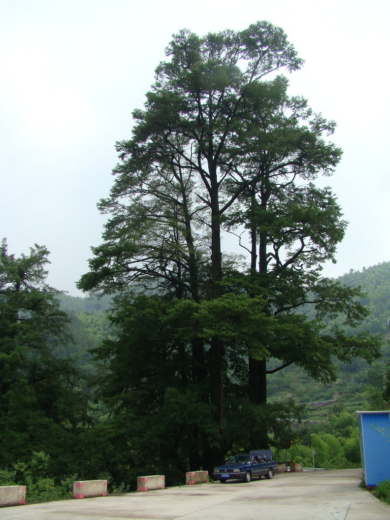 DSC02995.JPG